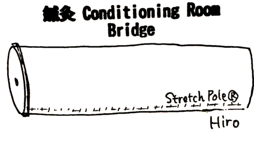 自宅に欲しい健康グッズおすすめランキング１位 ストレッチポール 鍼灸 Conditioning Room Bridge